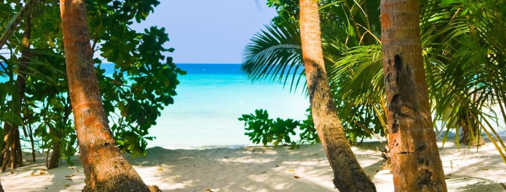 Pathway to tropical beach.jpg